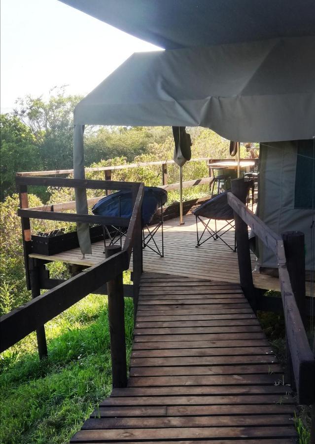 Chosen Glamping Tents Graskop Ngoại thất bức ảnh