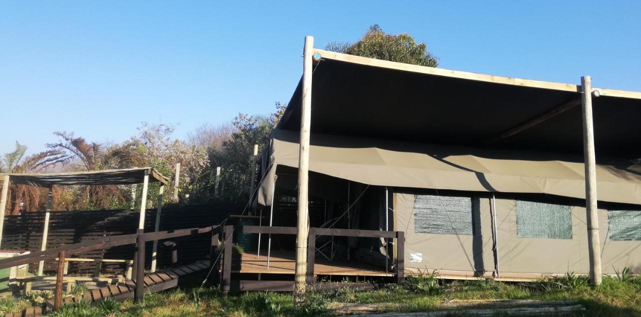 Chosen Glamping Tents Graskop Ngoại thất bức ảnh