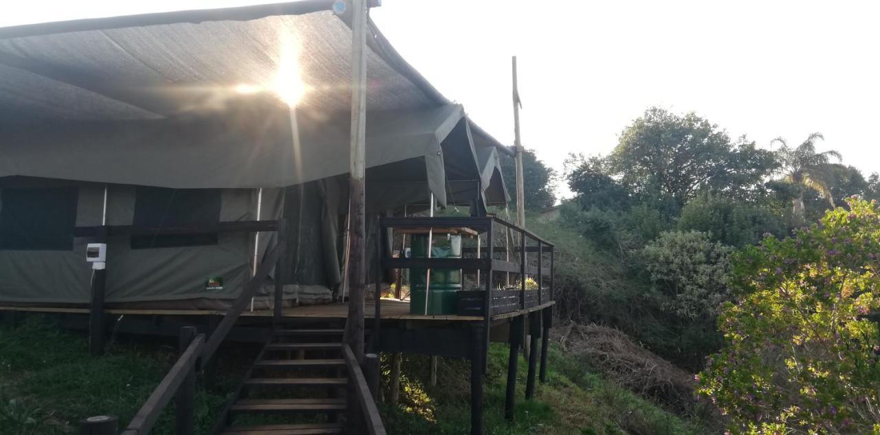 Chosen Glamping Tents Graskop Ngoại thất bức ảnh