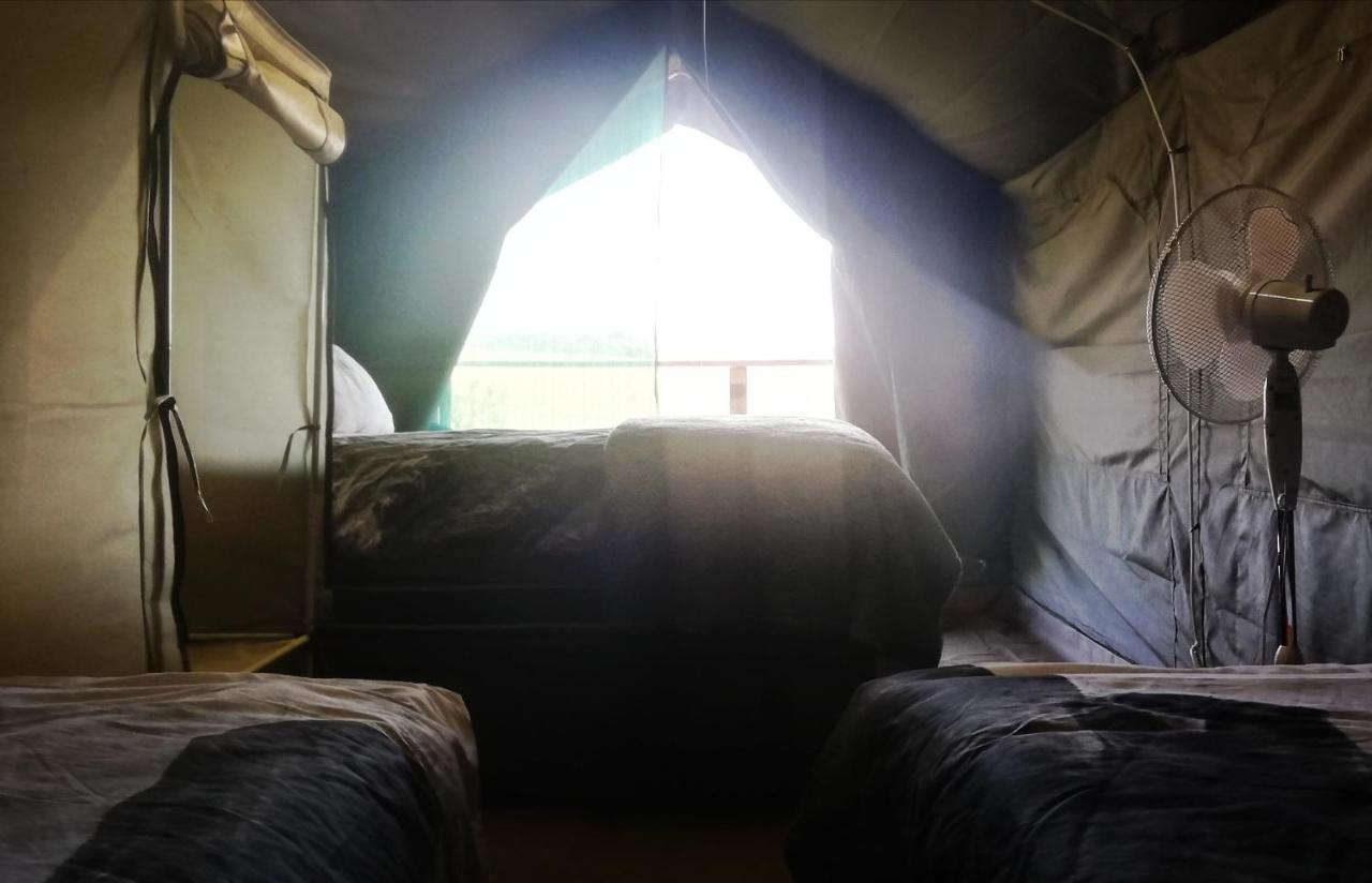 Chosen Glamping Tents Graskop Ngoại thất bức ảnh