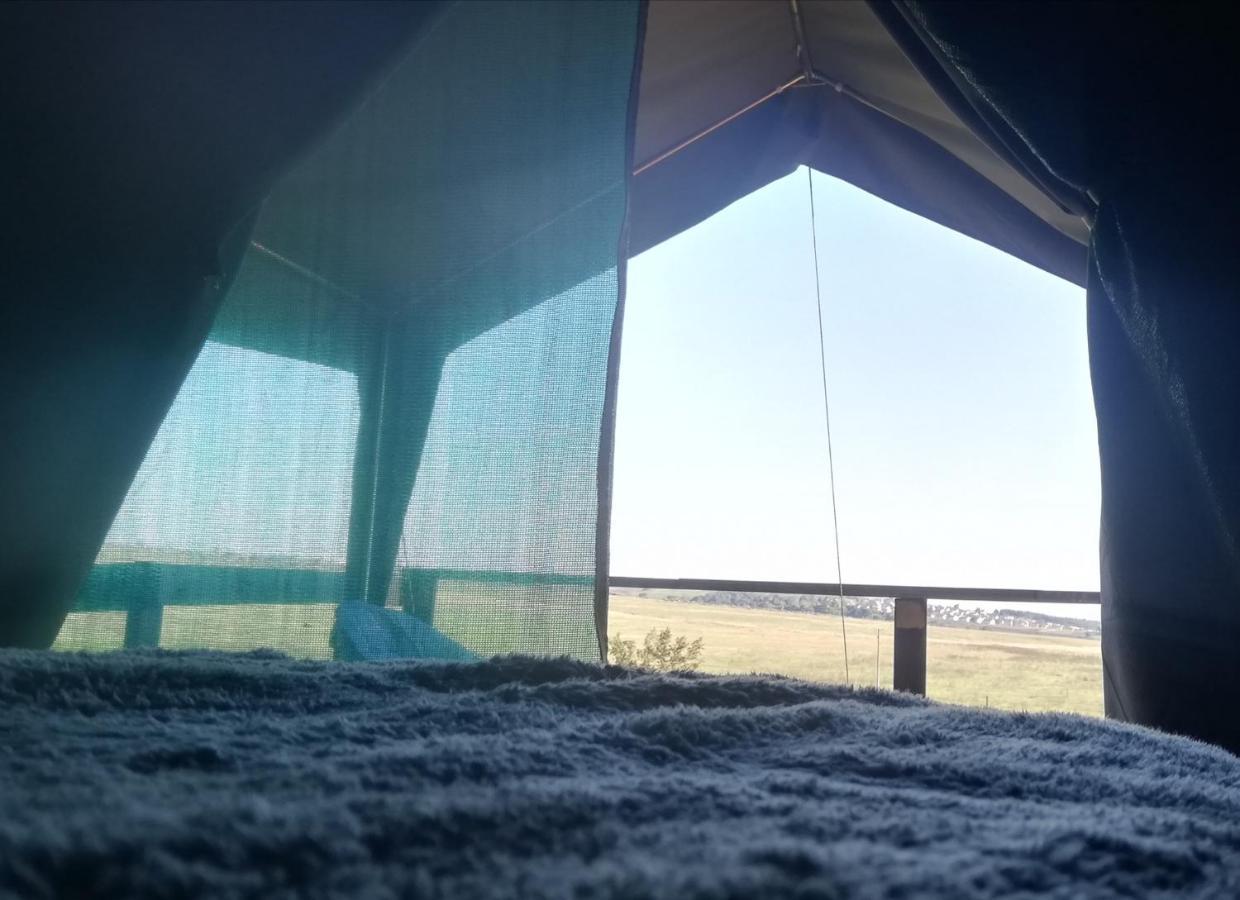Chosen Glamping Tents Graskop Ngoại thất bức ảnh