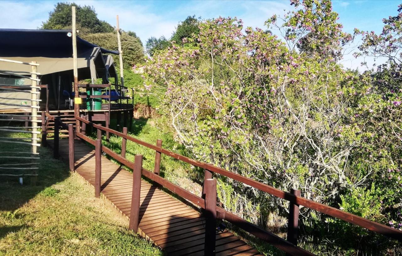 Chosen Glamping Tents Graskop Ngoại thất bức ảnh