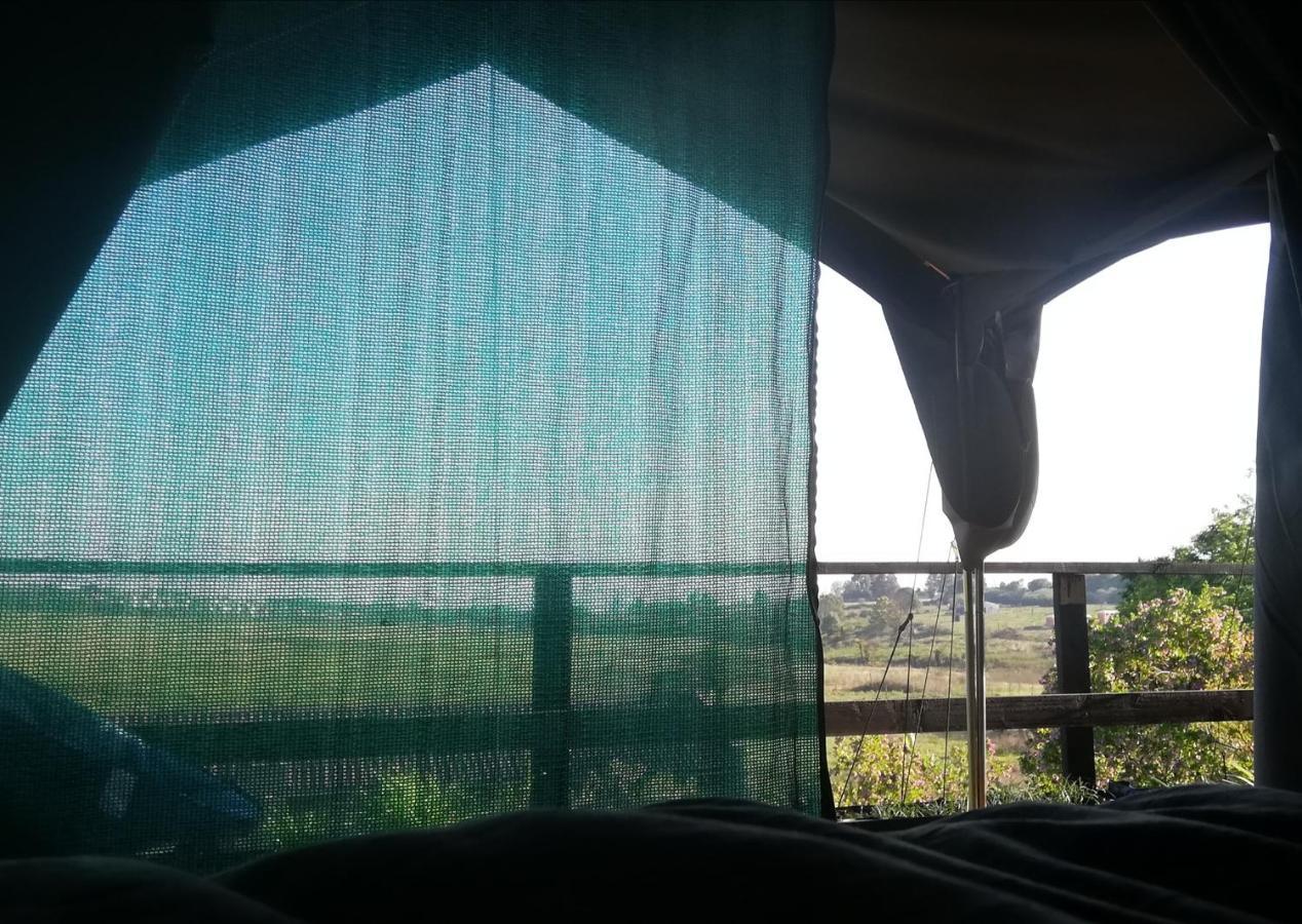 Chosen Glamping Tents Graskop Ngoại thất bức ảnh